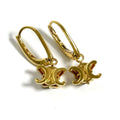 Earrings Metal