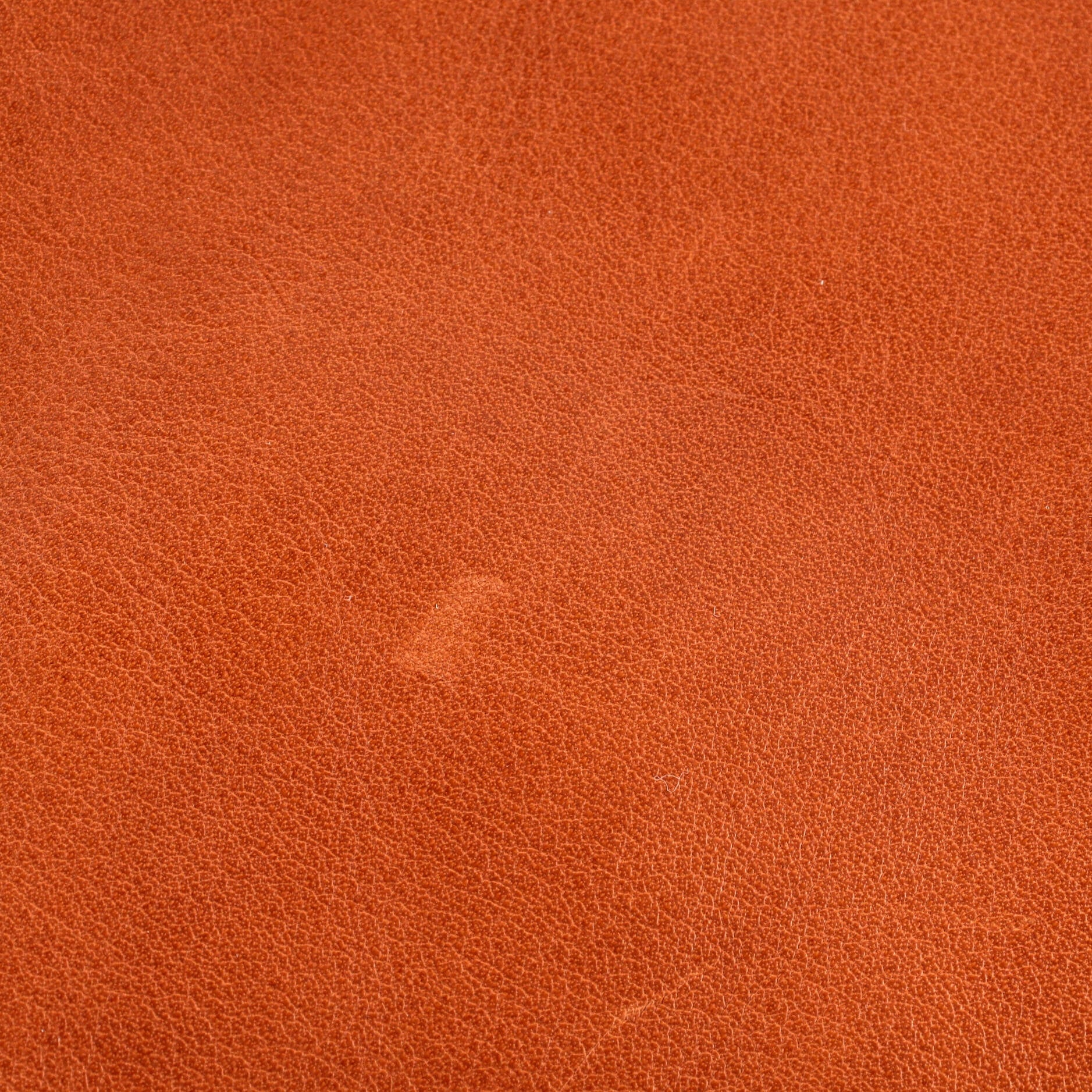 Odyssee Terre Duffle Bag Canvas with Leather