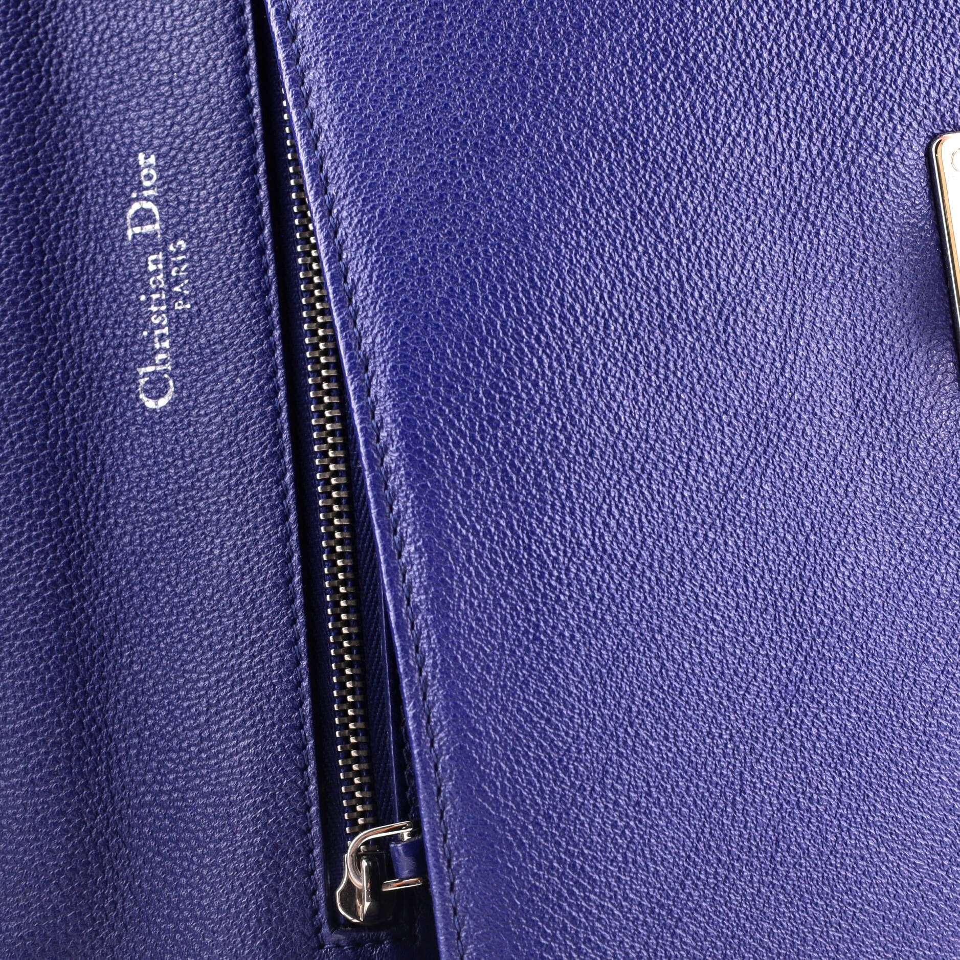 Diorama Flap Bag Grained Calfskin Medium