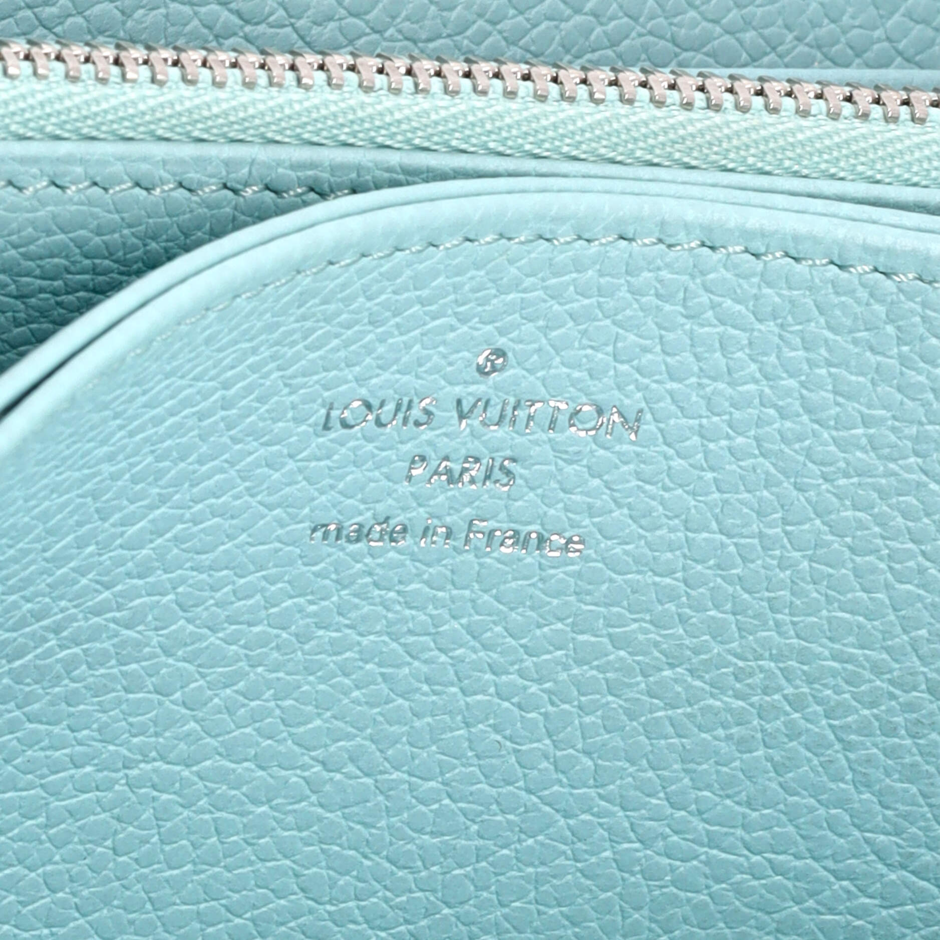 Zippy Wallet Stardust Monogram Empreinte Leather