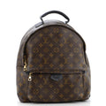 Palm Springs Backpack Monogram Canvas MM
