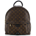 Palm Springs Backpack Monogram Canvas MM