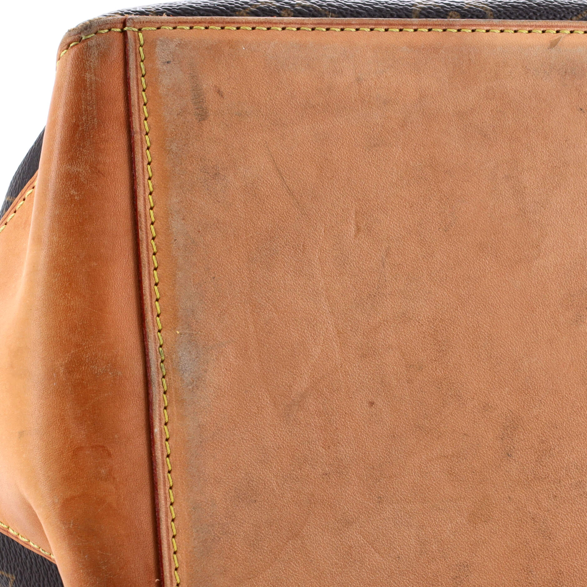 Luco Handbag Monogram Canvas