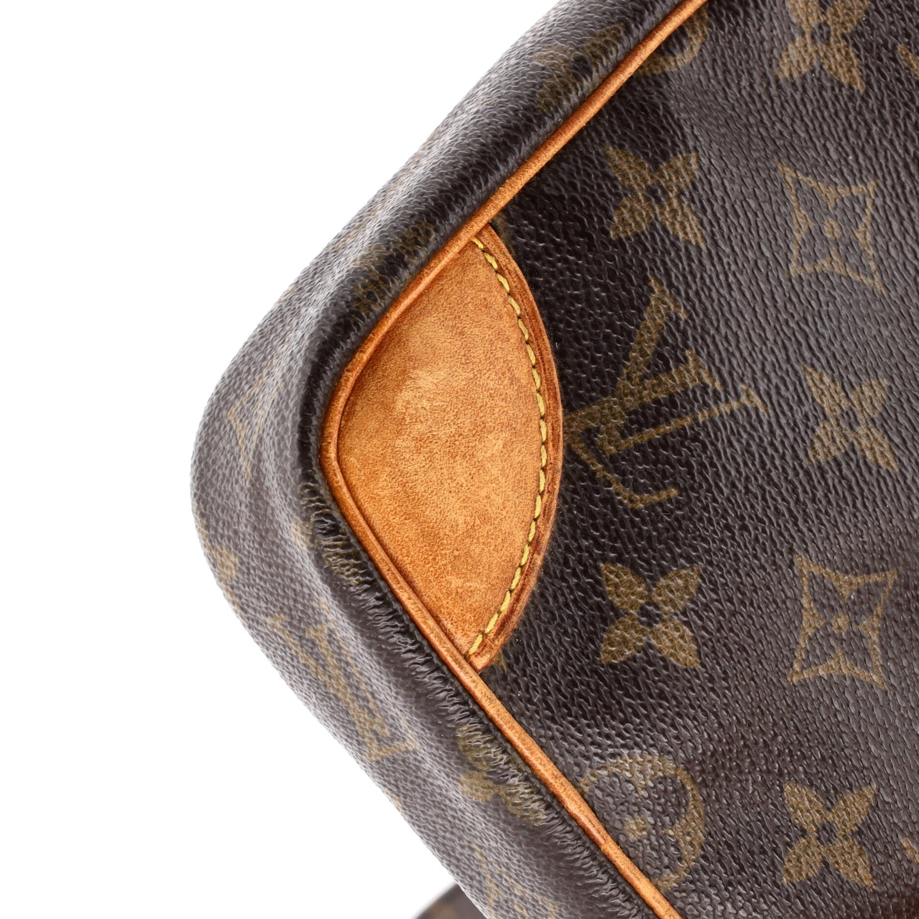 Danube Handbag Monogram Canvas