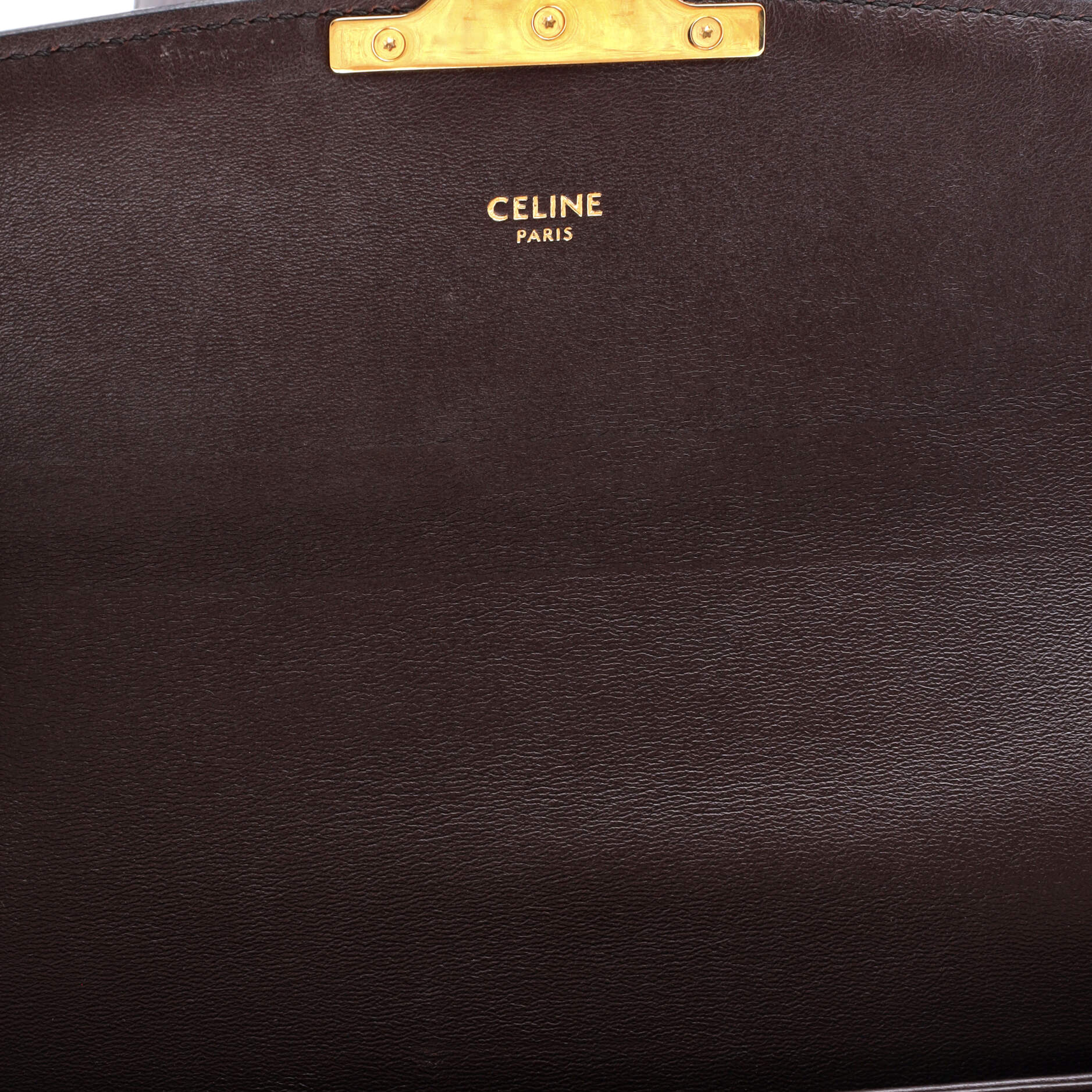 Triomphe Shoulder Bag Canvas with Snakeskin Medium
