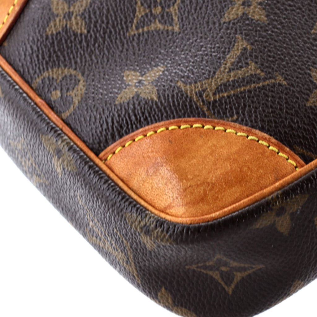 Danube Handbag Monogram Canvas