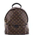 Palm Springs Backpack Monogram Canvas MM