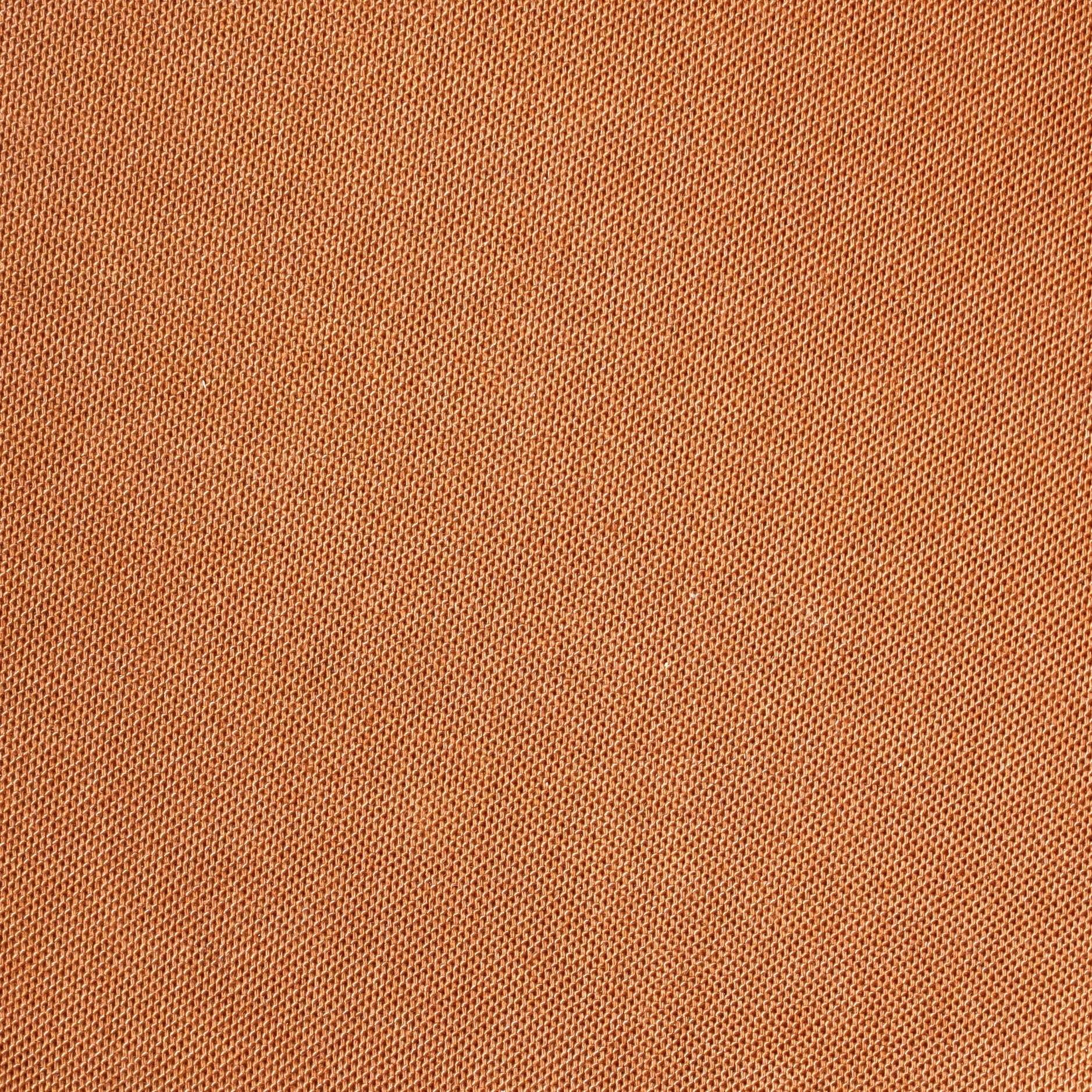 Palermo Handbag Monogram Canvas GM