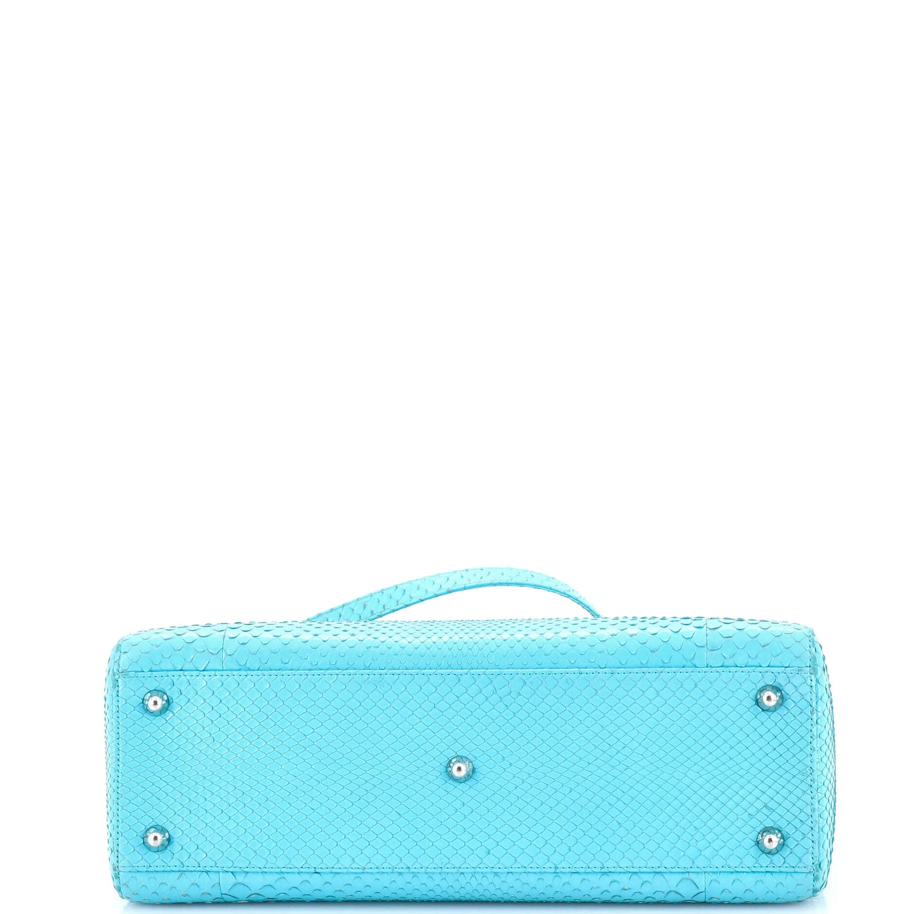 Lady Dior Bag Python Large