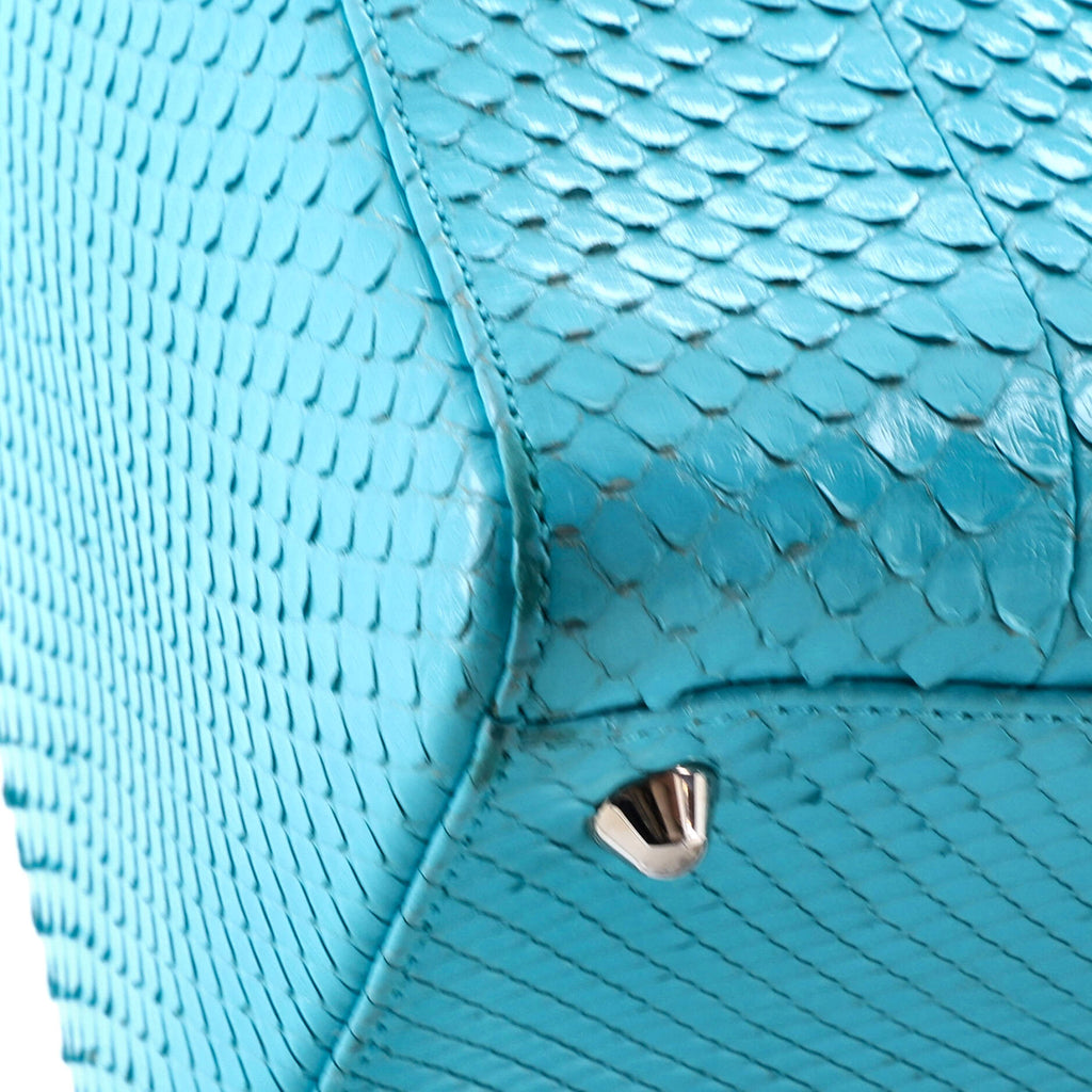 Lady Dior Bag Python Large