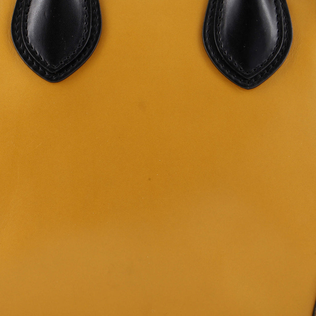 Bicolor Luggage Bag Leather Micro