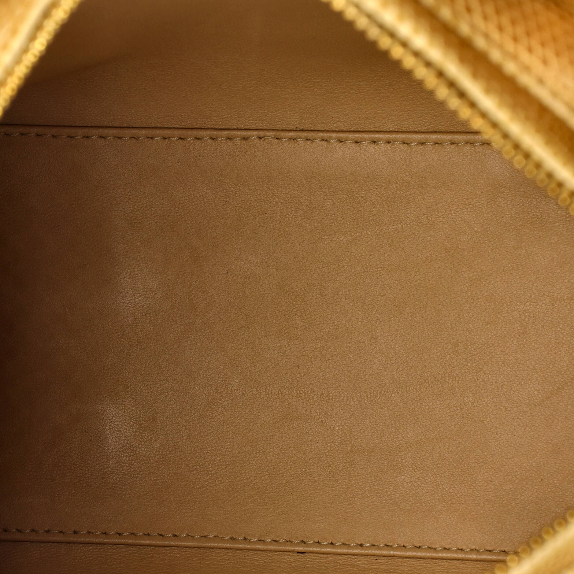 Lady Dior Bag Lizard Medium