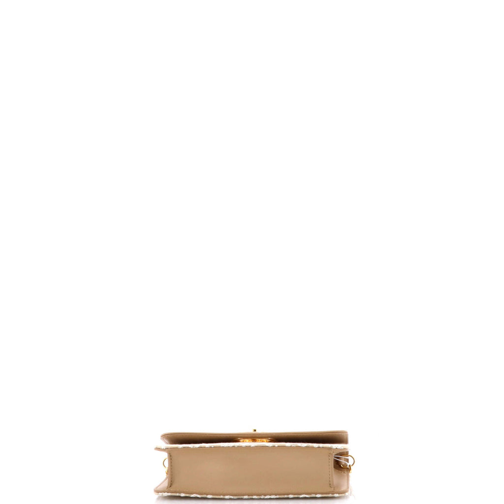 Miss Caro Pouch with Chain Oblique Canvas and Leather
