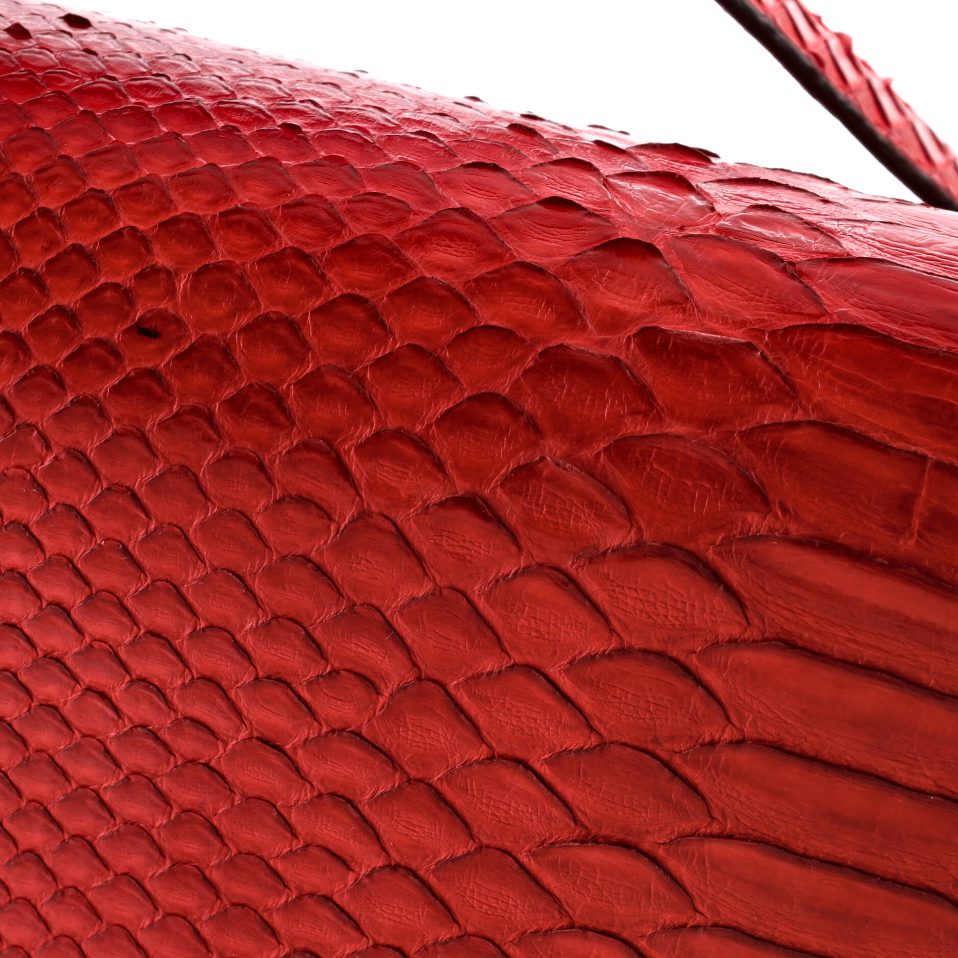 Classic Box Bag Python Medium