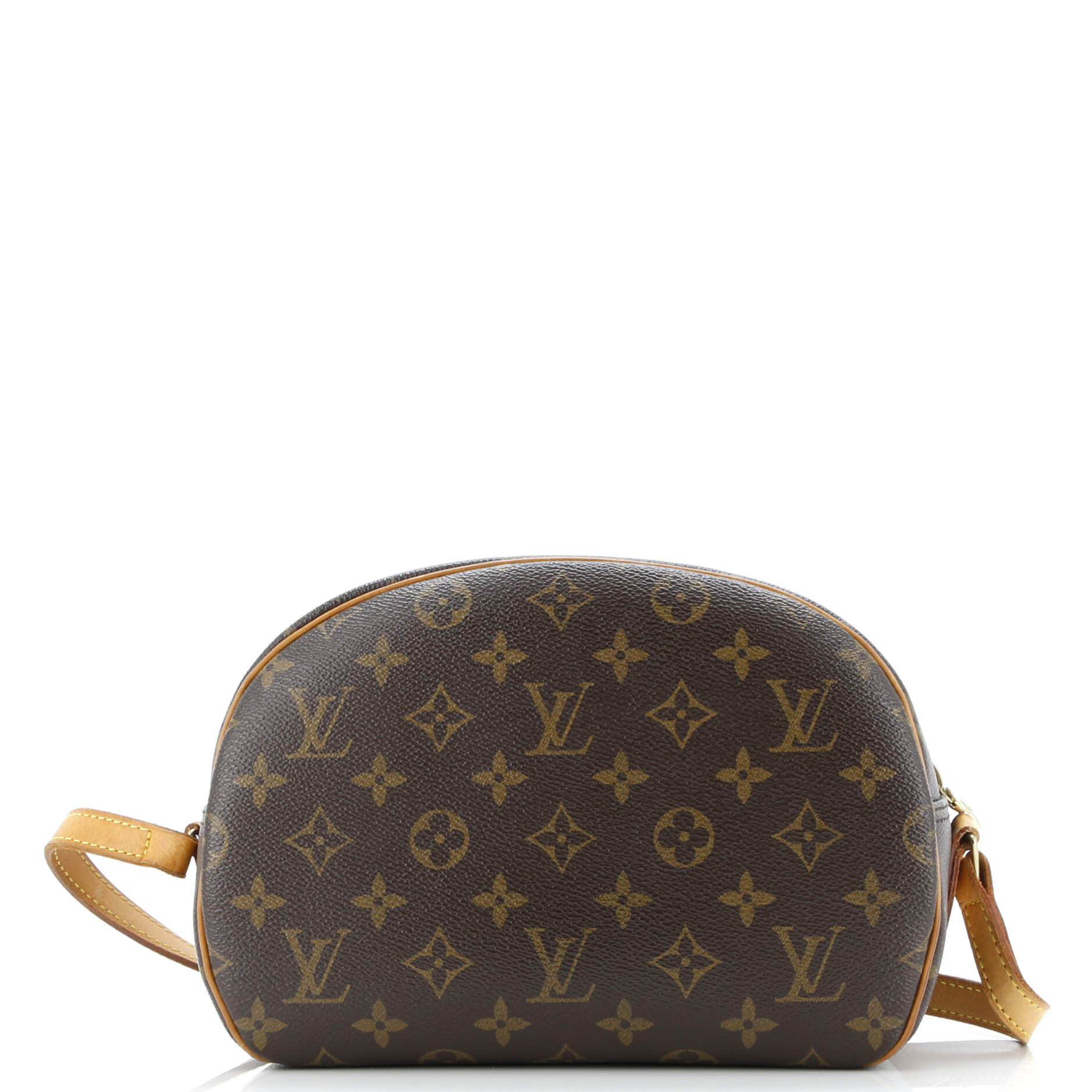 Blois Handbag Monogram Canvas