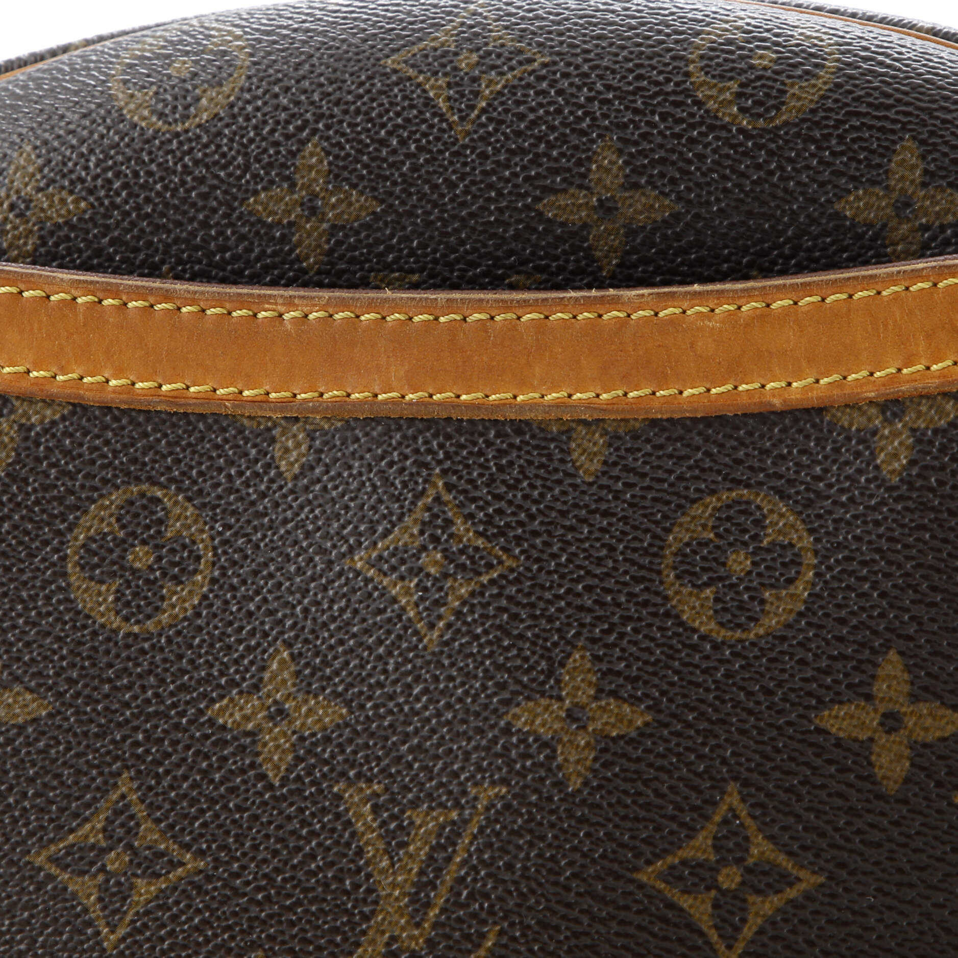 Blois Handbag Monogram Canvas