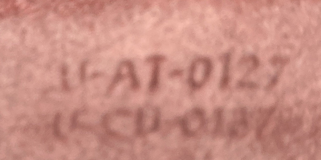 Luggage Bag Grainy Leather Micro