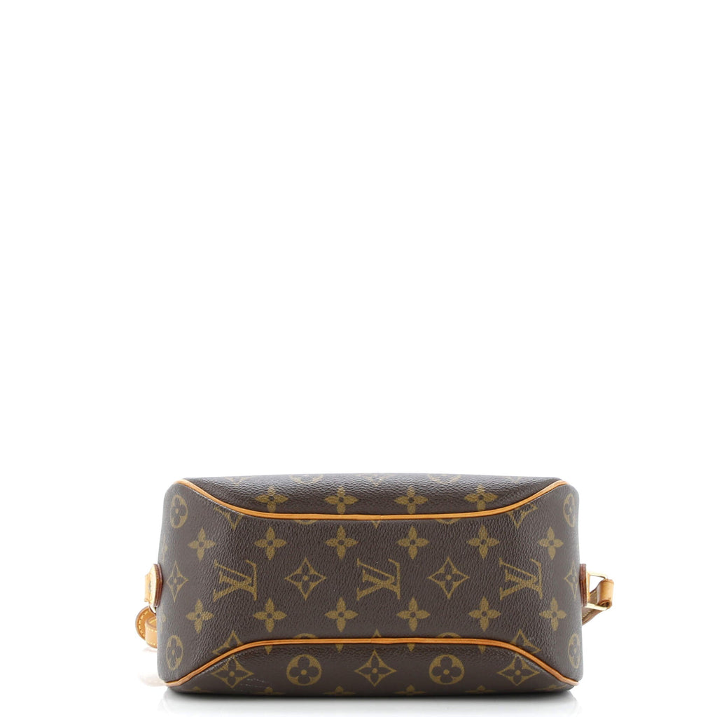 Blois Handbag Monogram Canvas