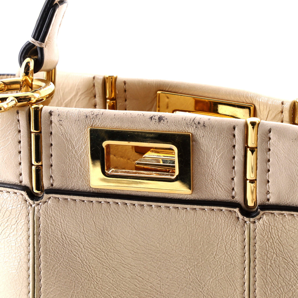 Peekaboo Iconic Bag Leather Mini