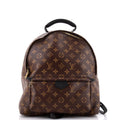 Palm Springs Backpack Monogram Canvas MM