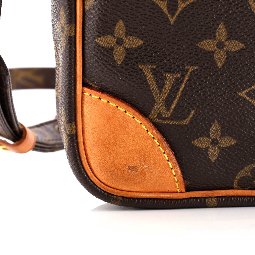 Danube Handbag Monogram Canvas