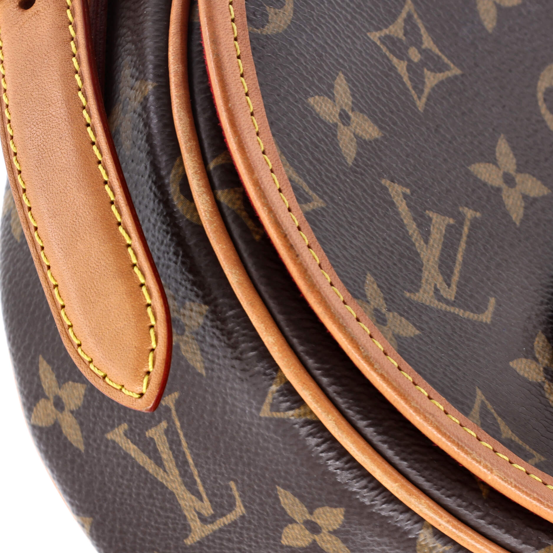 Tambourin NM Handbag Monogram Canvas