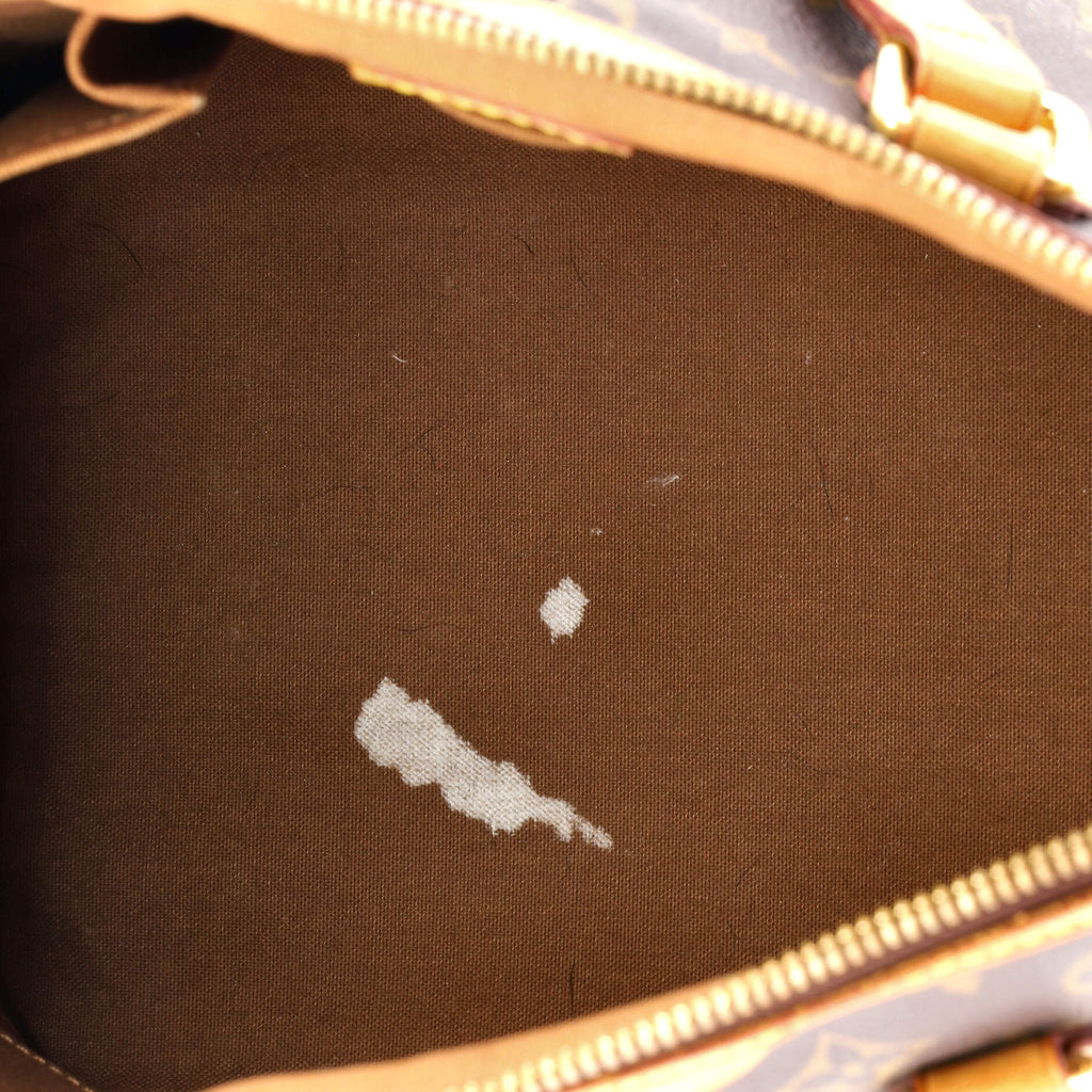 Palermo Handbag Monogram Canvas PM
