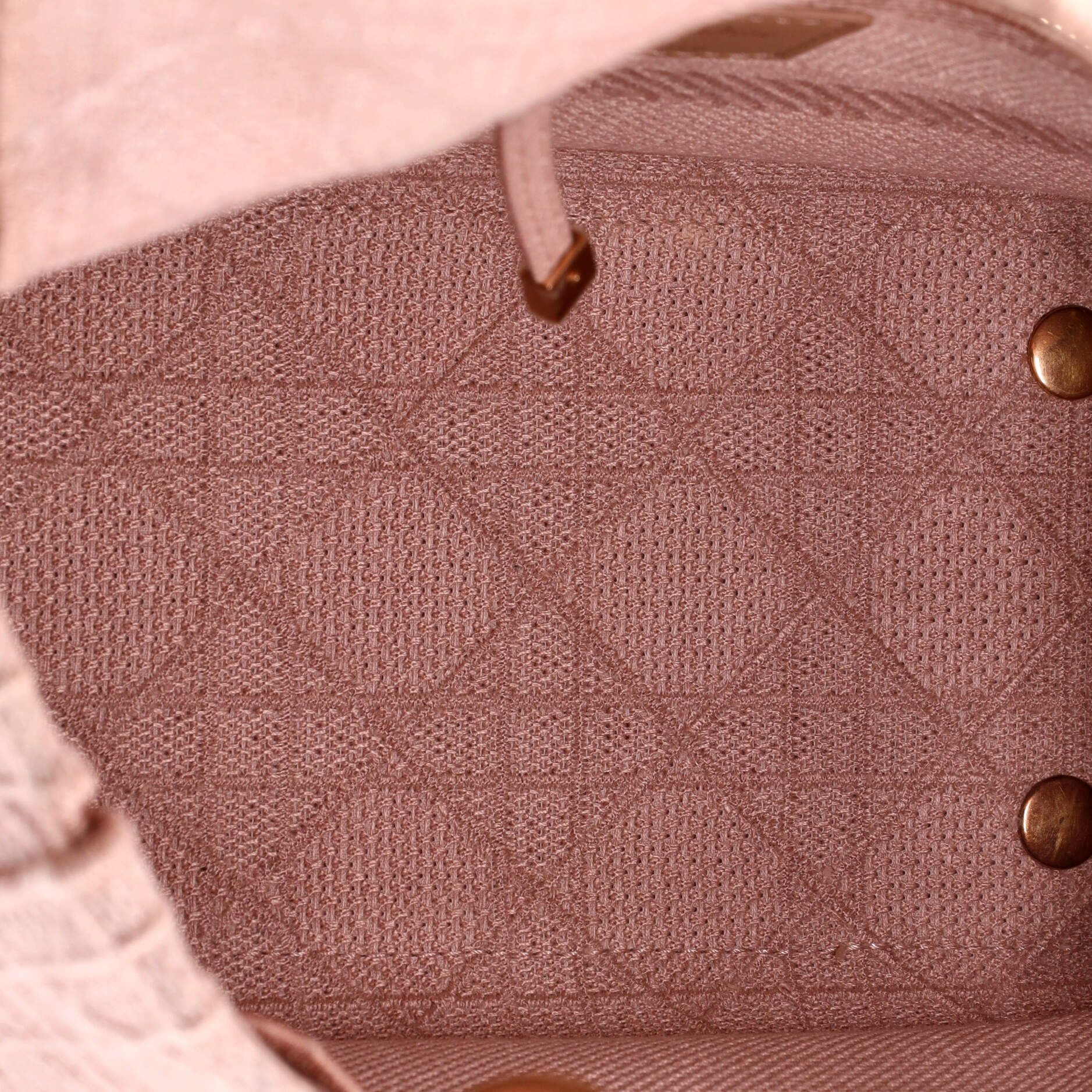 Lady D-Lite Bag Cannage Embroidered Canvas Medium