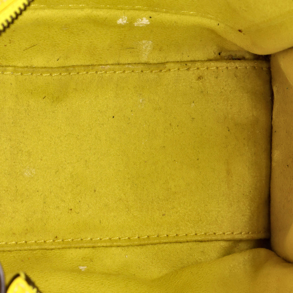 Luggage Bag Grainy Leather Nano