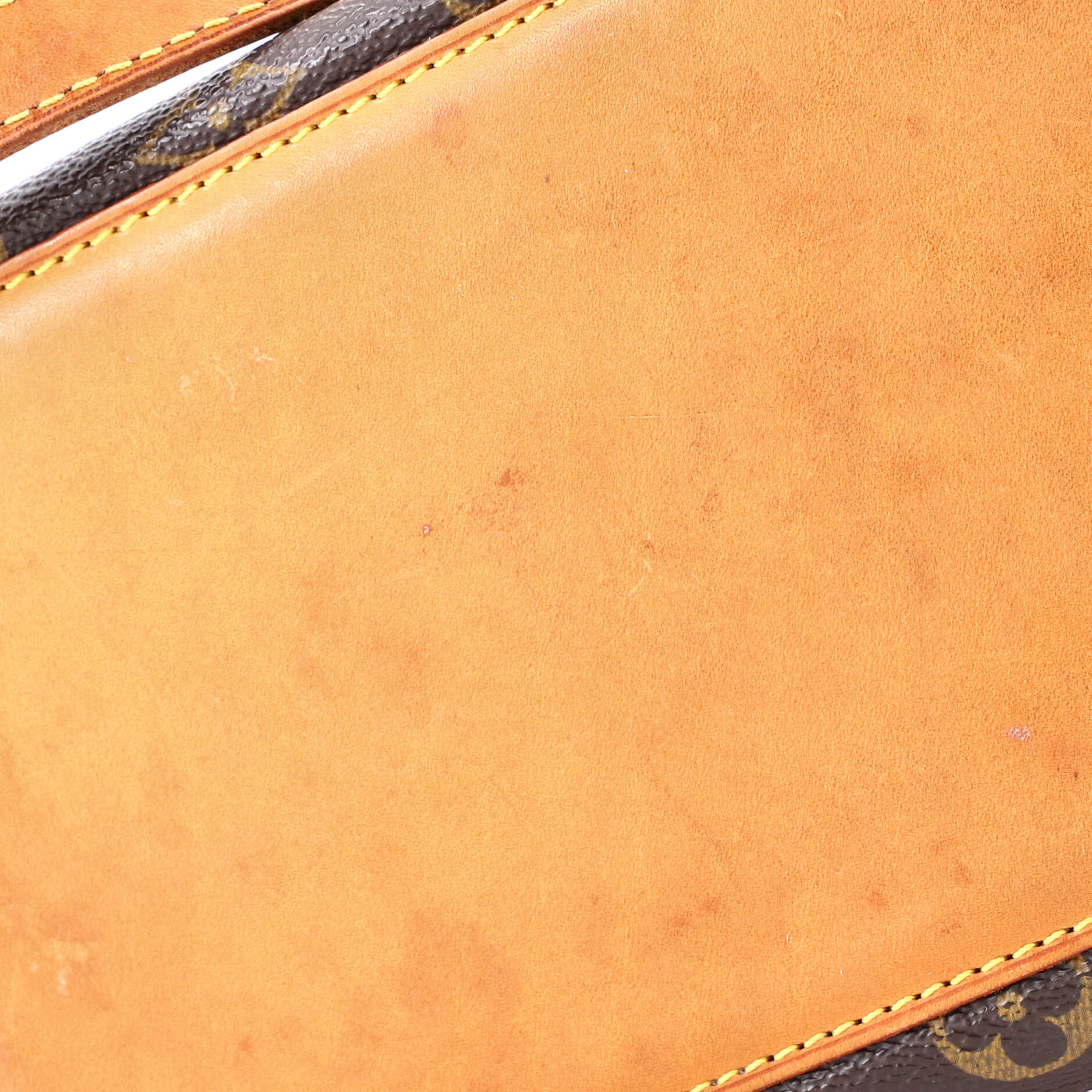 Cabas Piano Monogram Canvas