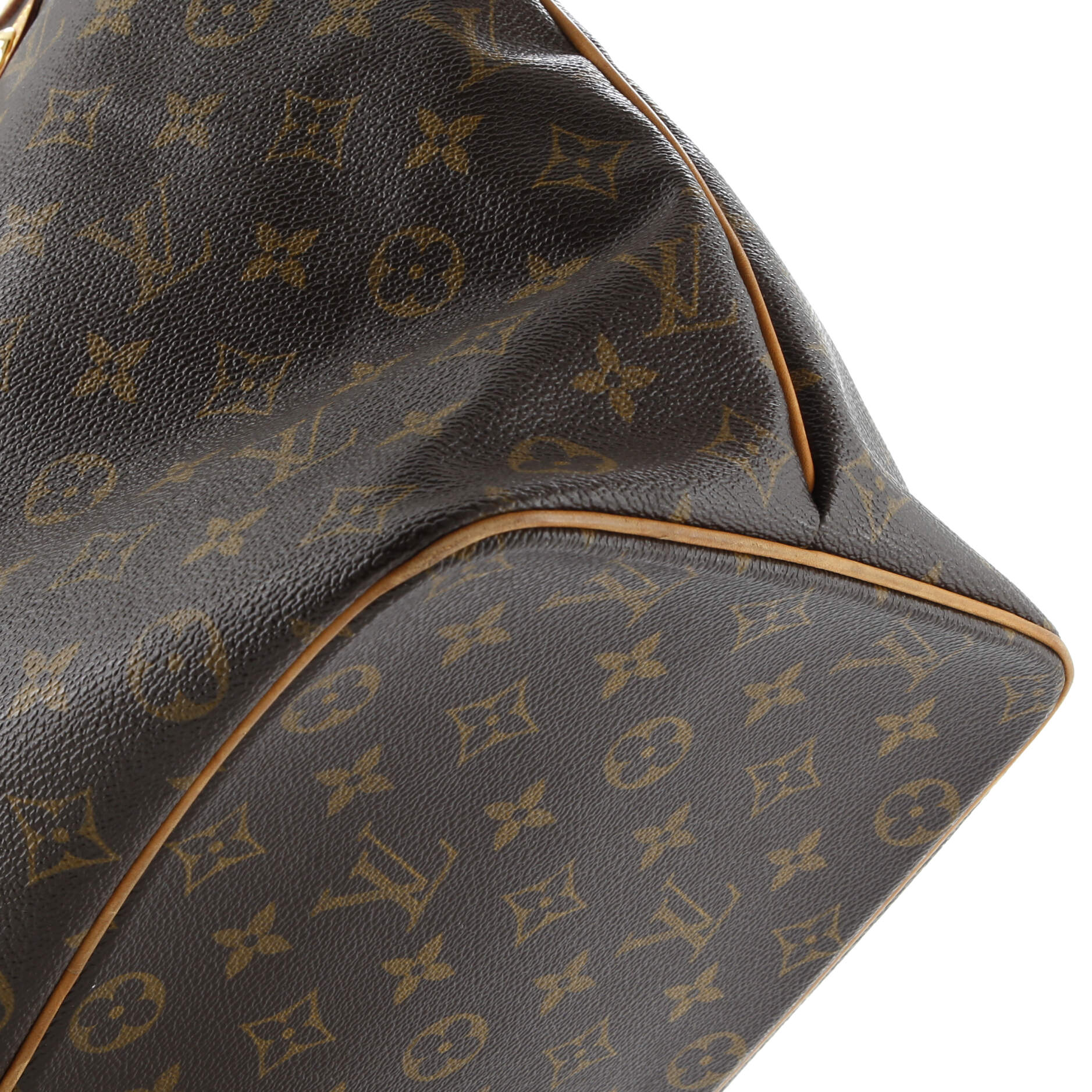 Palermo Handbag Monogram Canvas GM