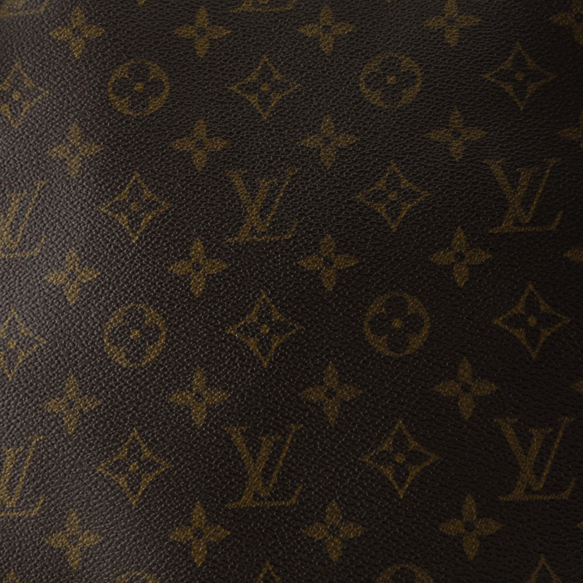 Musette Salsa Handbag Monogram Canvas GM