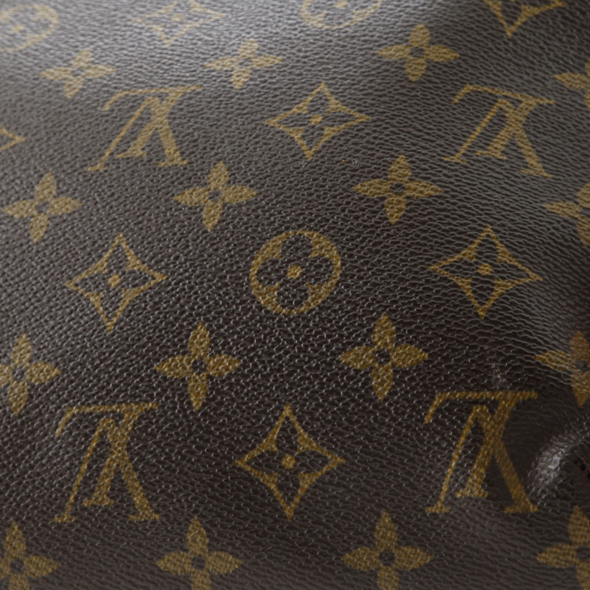 Musette Tango Handbag Monogram Canvas
