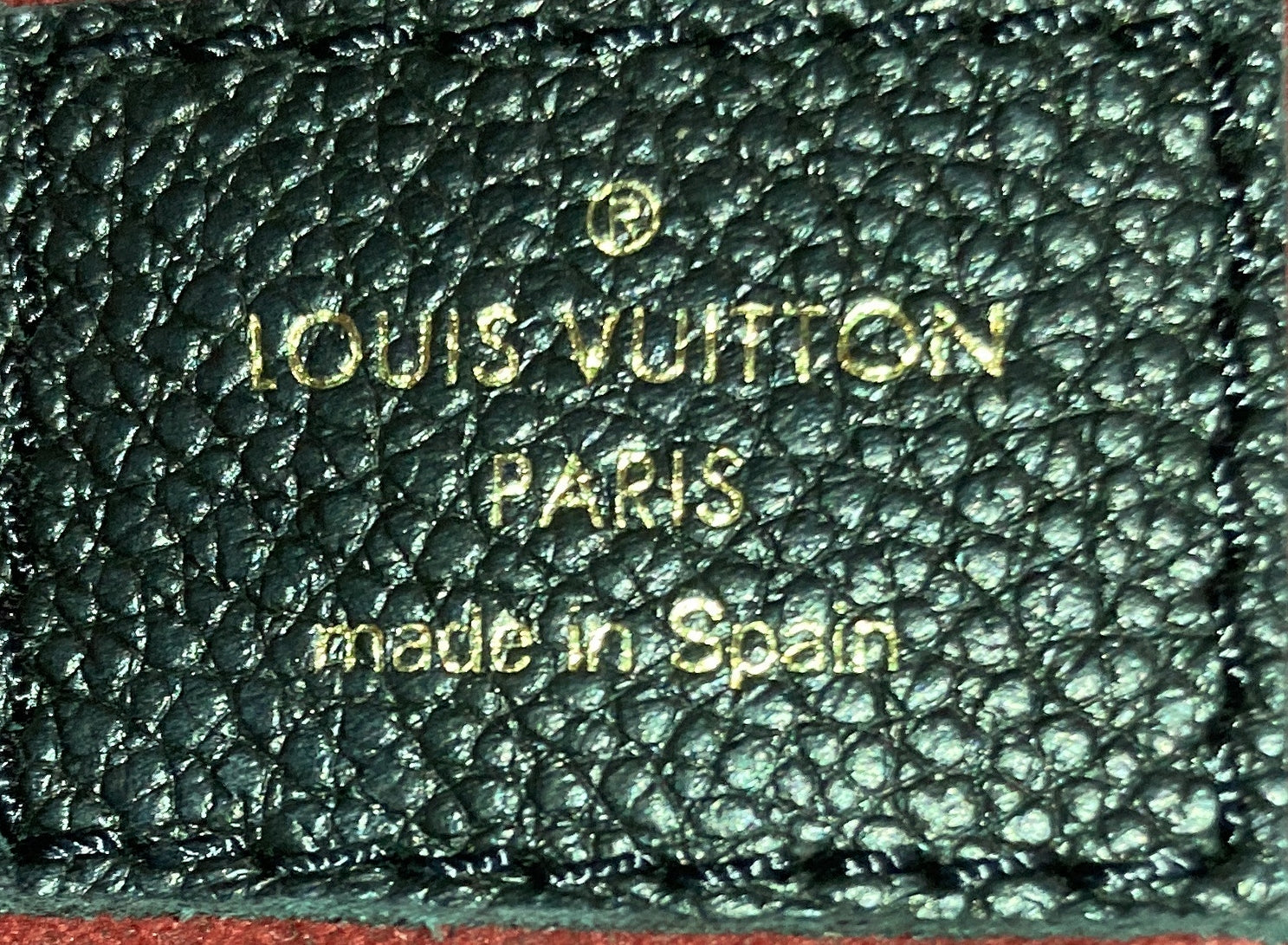 Petit Palais Handbag Monogram Empreinte Giant
