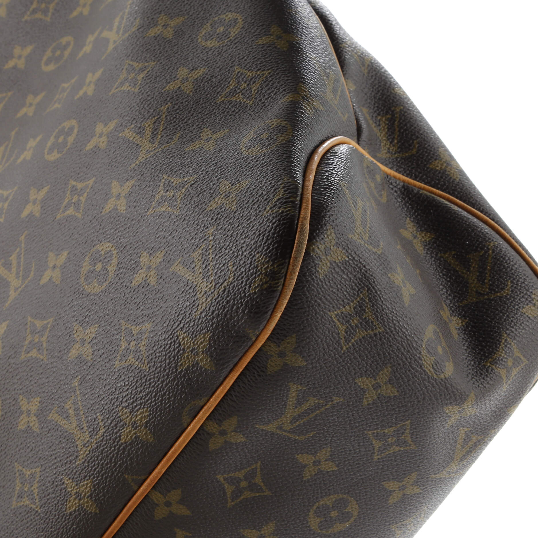 Delightful Handbag Monogram Canvas MM