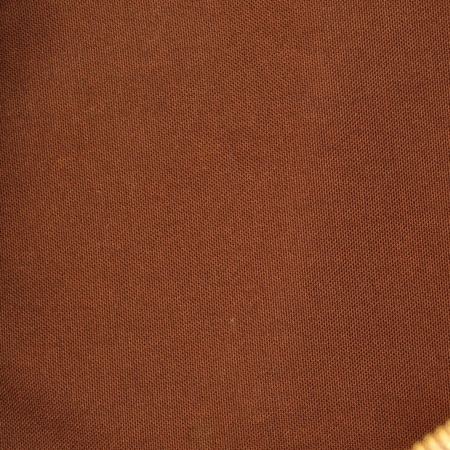 Palermo Handbag Monogram Canvas PM
