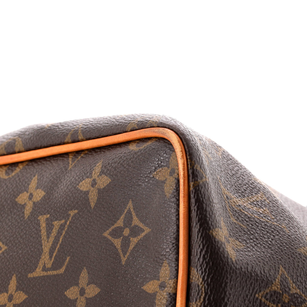 Palermo Handbag Monogram Canvas PM