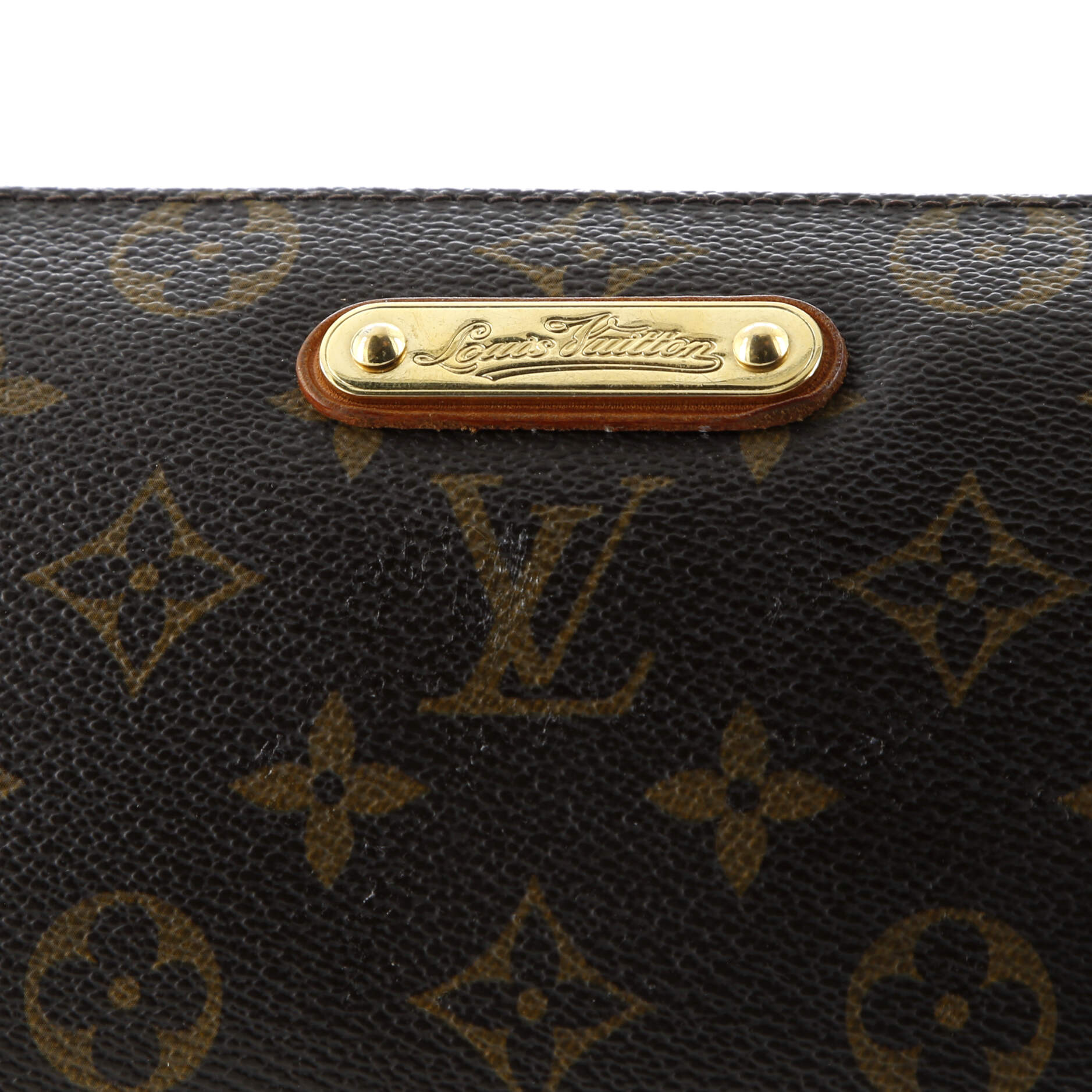 Eva Handbag Monogram Canvas