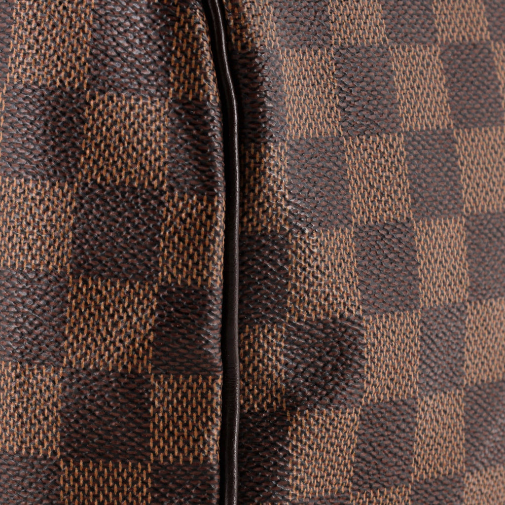 Speedy Handbag Damier 30