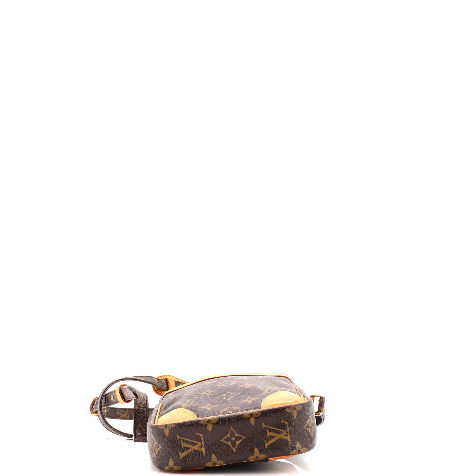 Danube Handbag Monogram Canvas