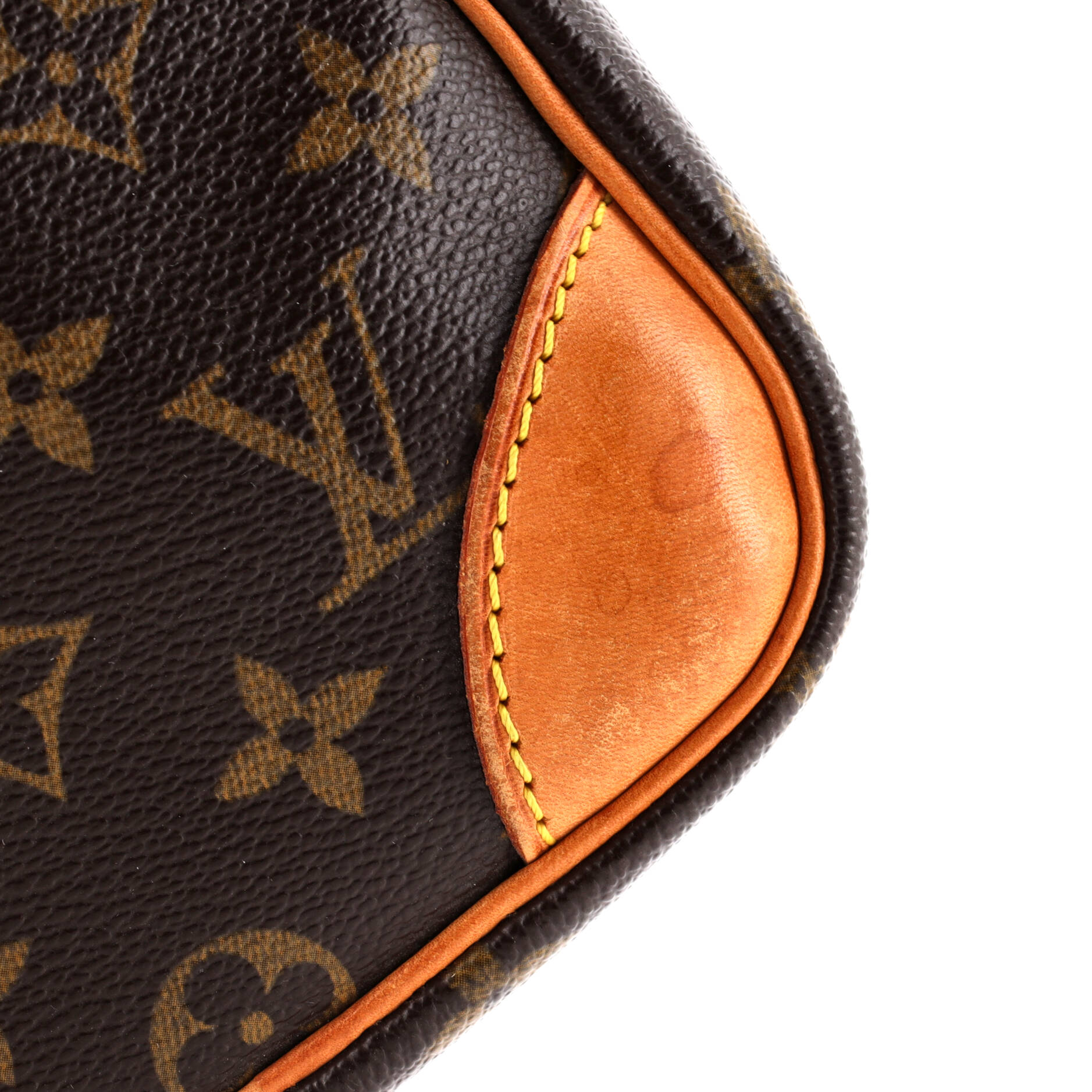 Danube Handbag Monogram Canvas