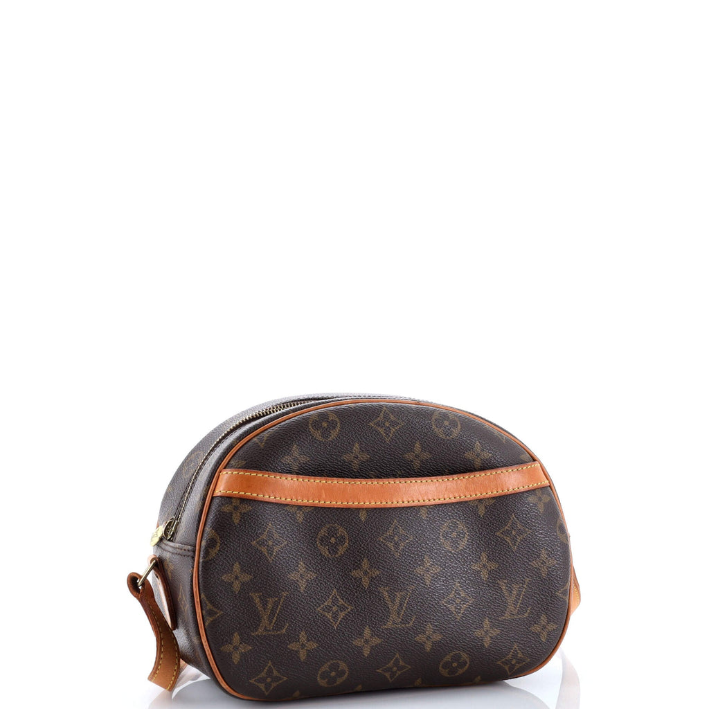 Blois Handbag Monogram Canvas