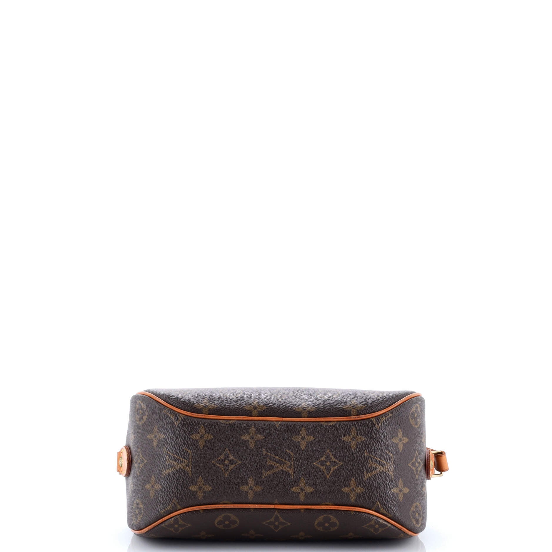Blois Handbag Monogram Canvas