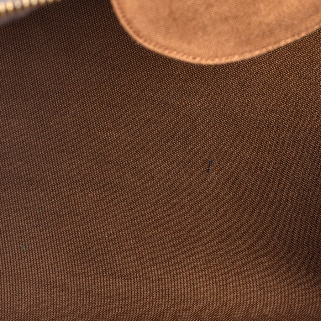 Speedy Handbag Monogram Canvas 40