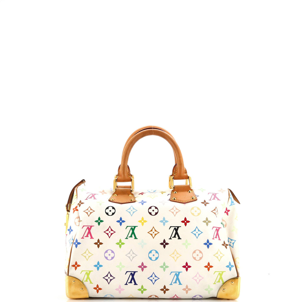 Speedy Handbag Monogram Multicolor 30