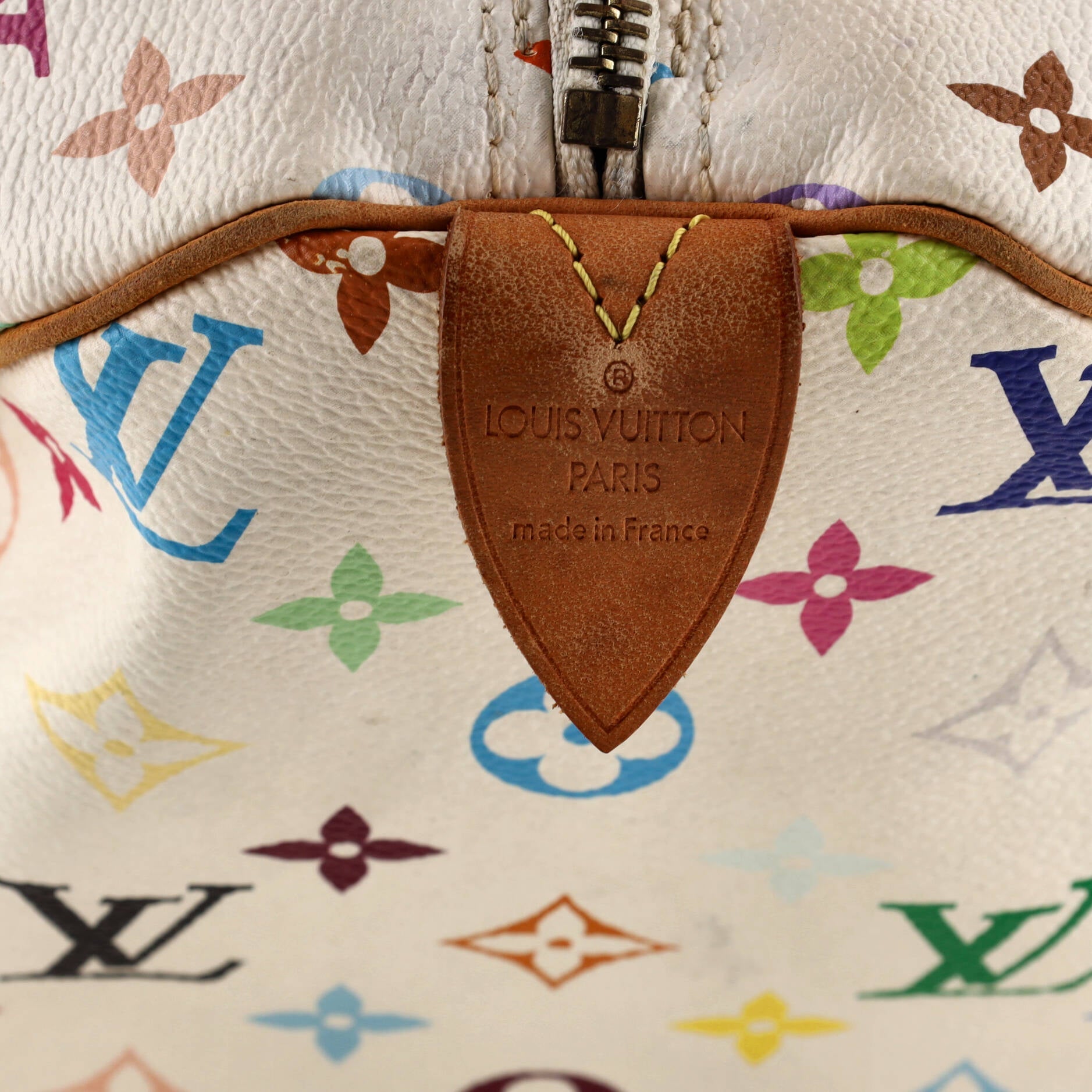 Speedy Handbag Monogram Multicolor 30