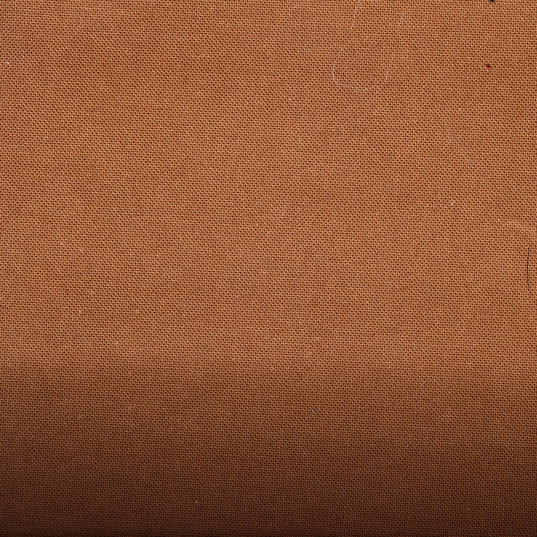 Petit Noe NM Handbag Monogram Canvas