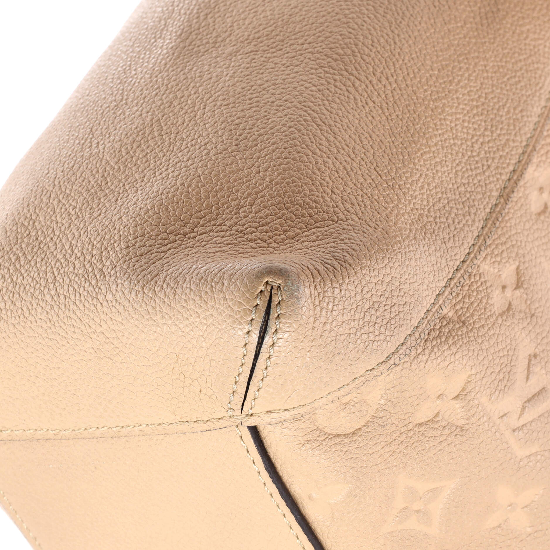 Bagatelle Hobo Monogram Empreinte Leather
