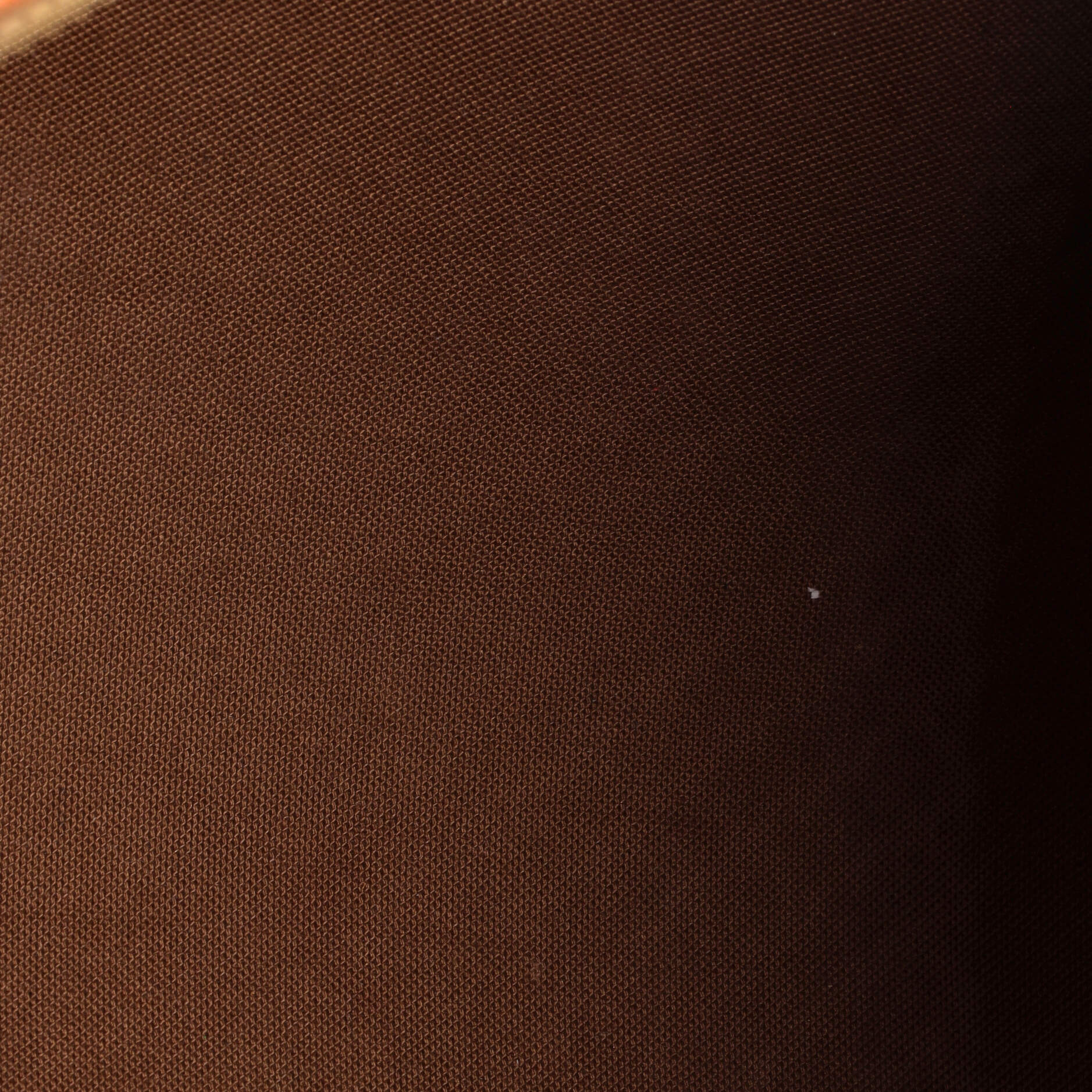 Speedy Handbag Limited Edition Monogram Roses 30
