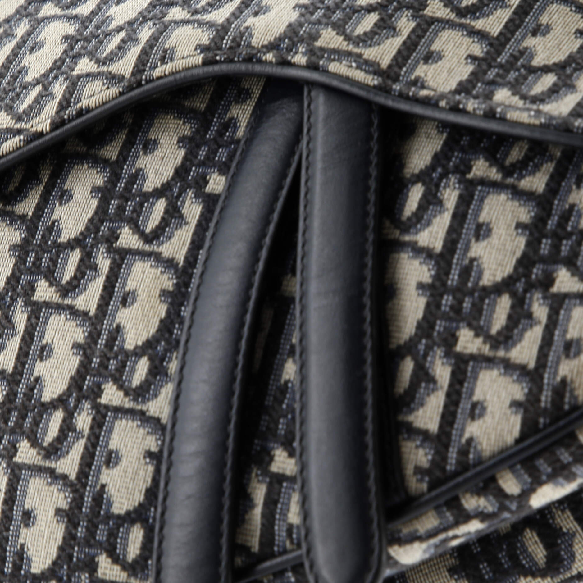 Saddle Handbag Oblique Canvas Medium